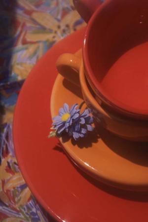 宮崎で信頼できる赤帽の軽貨物運送｜料金・サービス内容を徹底解説