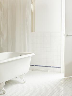 ベビーリーフの栽培設備を扱う業者選び