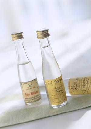 フルカラーの印刷で封筒が色鮮やかに