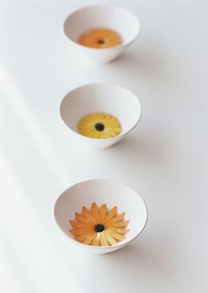 東京でトイレ水漏れが発生してしまったら